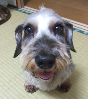 20060730_1.jpg