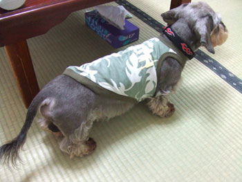 20060730_2.jpg