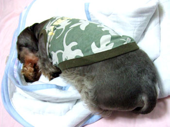 20060730_4.jpg