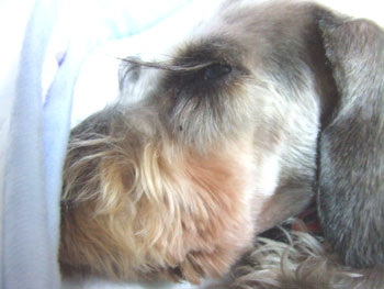 20060730_6.jpg