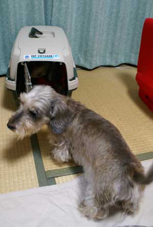 20061207_1.jpg