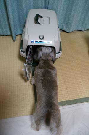 20061207_2.jpg
