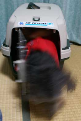 20061207_5.jpg