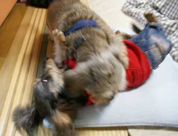 20061207_6.jpg