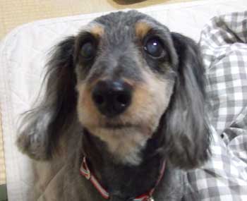 20061208_4.jpg