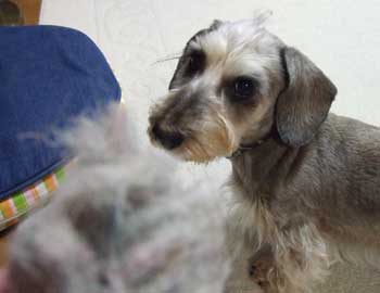 20061210_2.jpg