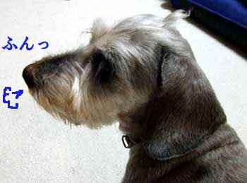 20061210_3.jpg