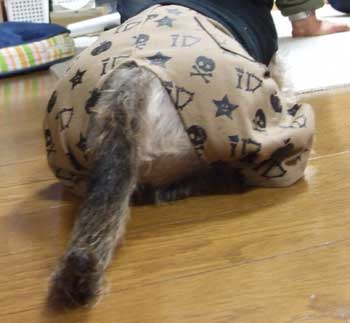 20061229_4.jpg