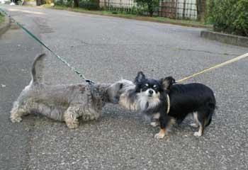 20070329_4.jpg