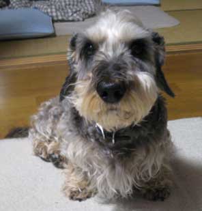 20070527_1.jpg