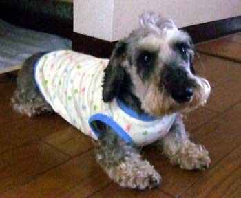 20070727_1.jpg