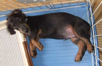 20070727_2.jpg