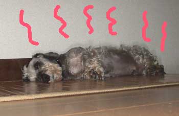20070812_3.jpg