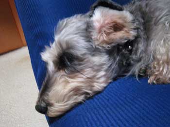 20071128_3.jpg