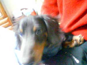 20071128_5.jpg