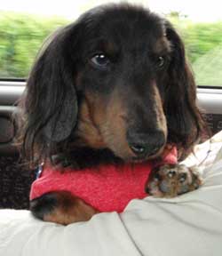20080419_8.jpg