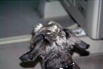 20080730_3.jpg