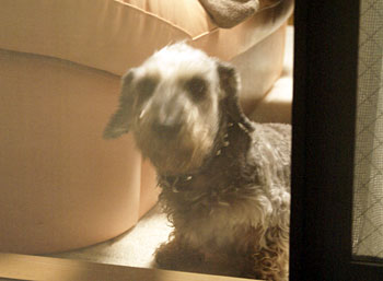20080730_5.jpg
