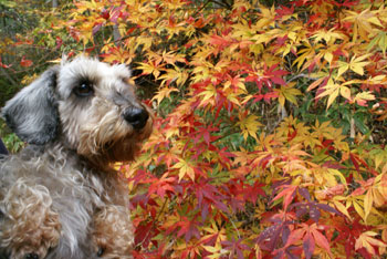 20081030_2.jpg