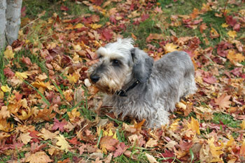 20081030_3.jpg
