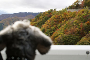20081030_4.jpg