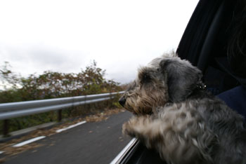 20081030_5.jpg