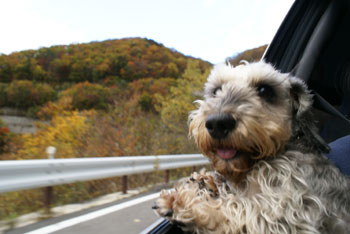 20081030_6.jpg