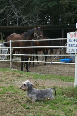 20081030_8.jpg