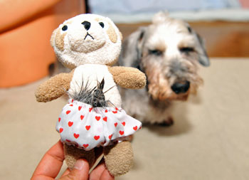 20081128_3.jpg