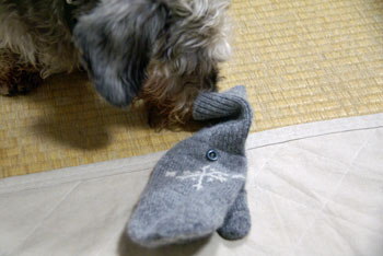20090127_1.jpg