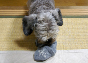 20090127_2.jpg