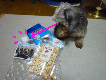 20090327_6.jpg