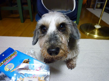 20090327_7.jpg