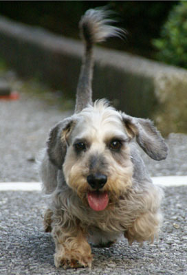20090625_1.jpg