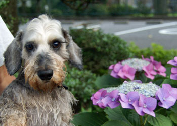 20090625_6.jpg