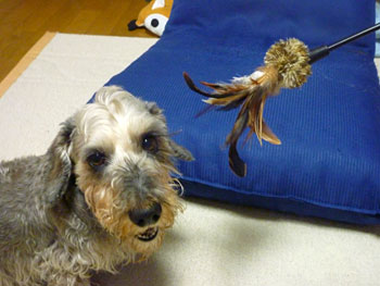 20090712_1.jpg