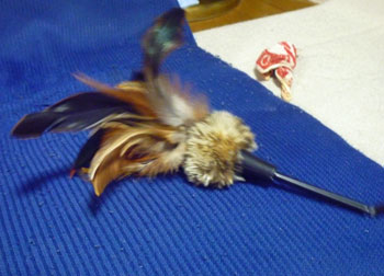 20090712_2.jpg