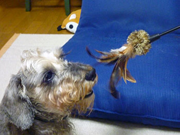 20090712_4.jpg