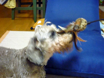 20090712_5.jpg
