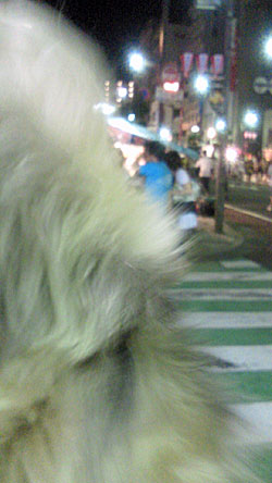 20090726_4.jpg
