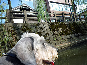 20090827_10.jpg
