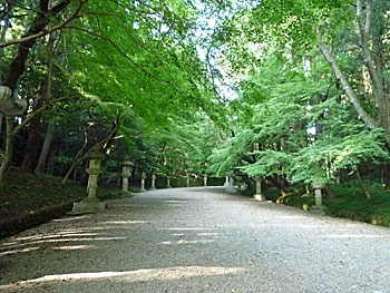 20090827_13.jpg
