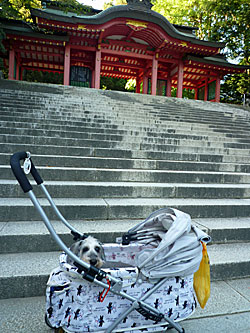 20090827_14.jpg