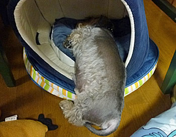 20090827_18.jpg
