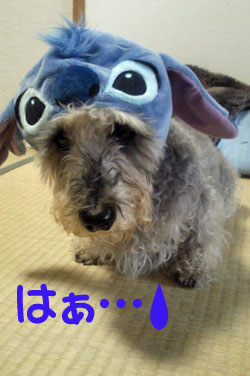 20091025_2.jpg