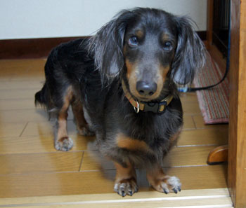 20091111_3.jpg