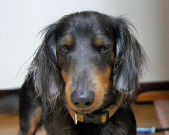 20091111_4.jpg