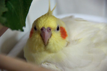 20091111_5.jpg