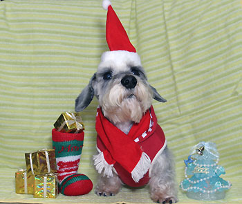 20091224_1.jpg