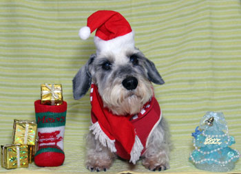 20091224_2.jpg